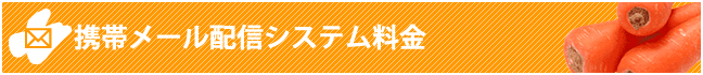 携帯メール配信システム料金