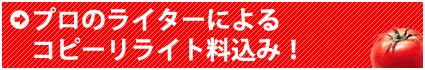 プロのライターによるコピーリライト料込み！